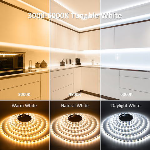 Novostella 24M 3000K-6000K Tunable White Strip Lights (EU)