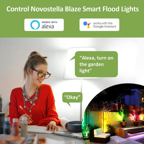 Novostella Blaze 2 Pack 25W RGB Wi-Fi Smart Flood Lights（UK)