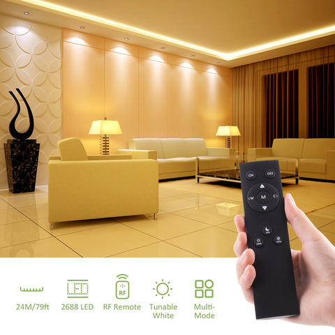 Novostella 24M 3000K-6000K Tunable White Strip Lights (EU)