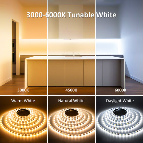 Novostella 6M 3000K-6000K Tunable White Strip Lights (EU)
