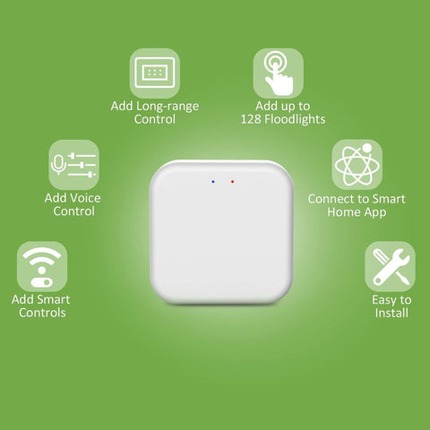Bluetooth Mesh Wireless Gateway Hub ( Only for NTF71 & NTF72)  (EU)