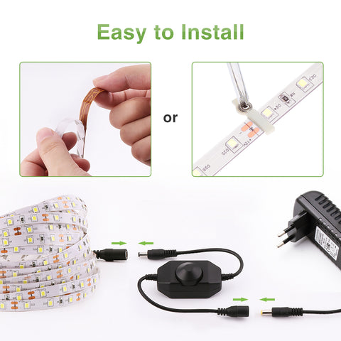 Novostella 6M Strip Lights with Dimmer-6000K Cool White (EU)
