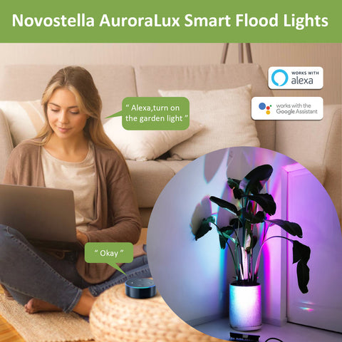 Novostella 1 Pack 60W RGBIC Wi-Fi Smart Flood Lights (US) -- FREE SHIPPING