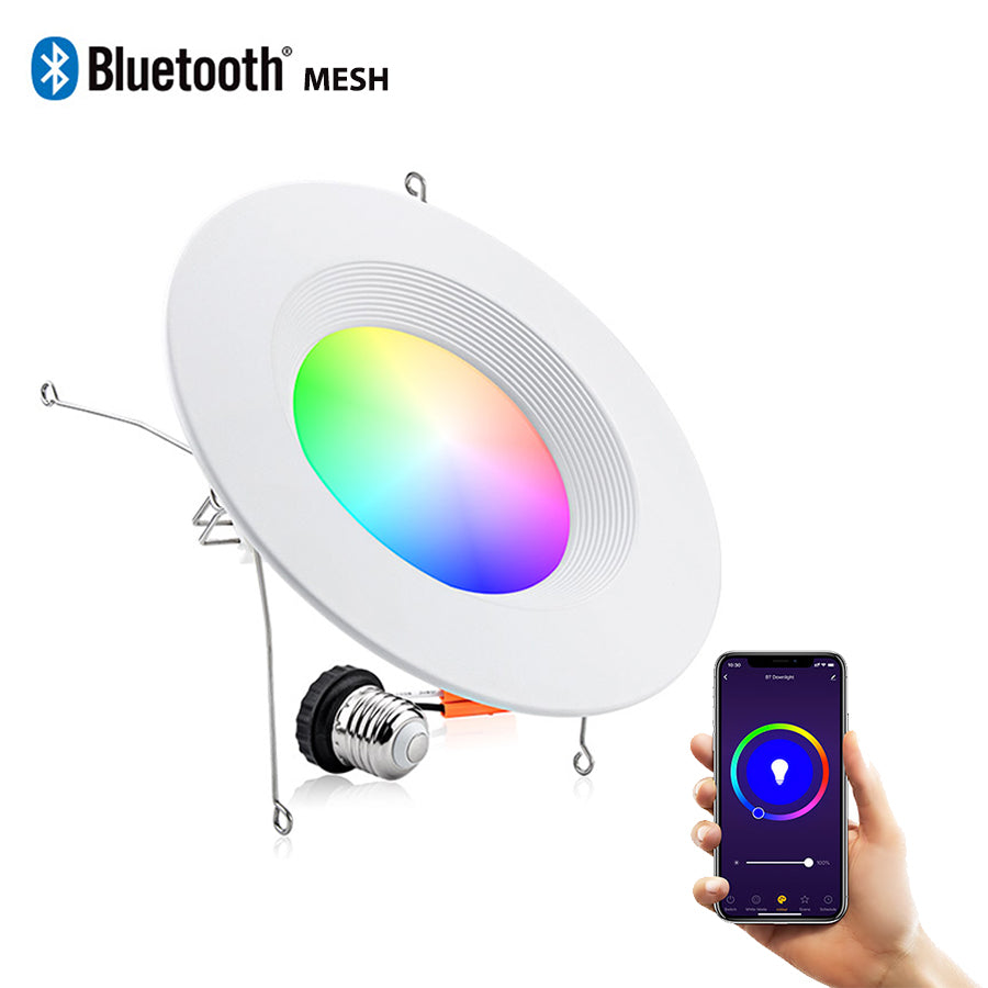 MustWin 1 Pack 6 inch RGBCW Bluetooth Mesh Smart Down Light (US) -- FREE SHIPPING